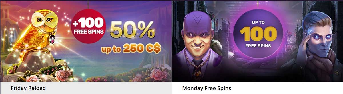 Regular bonuses at Playamo casino